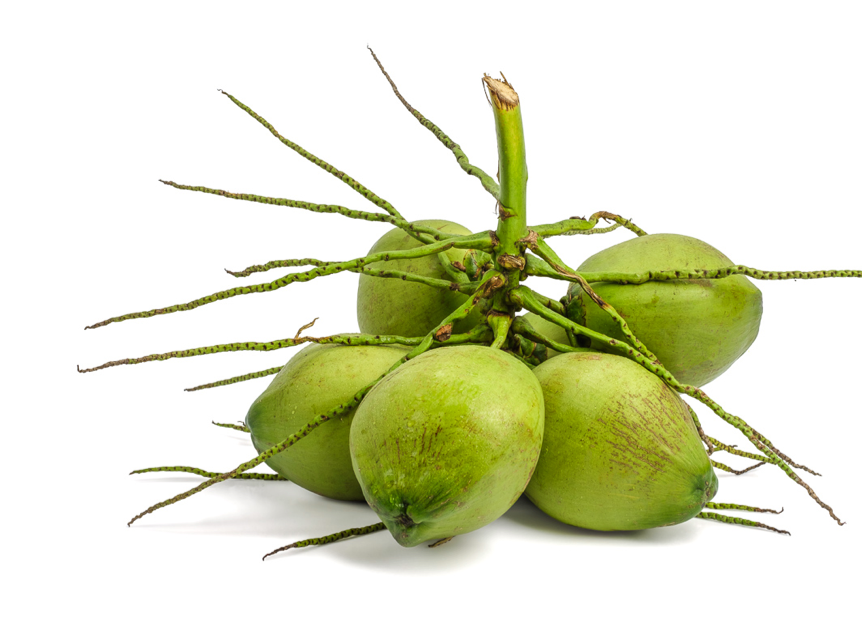 image of young green coconuts