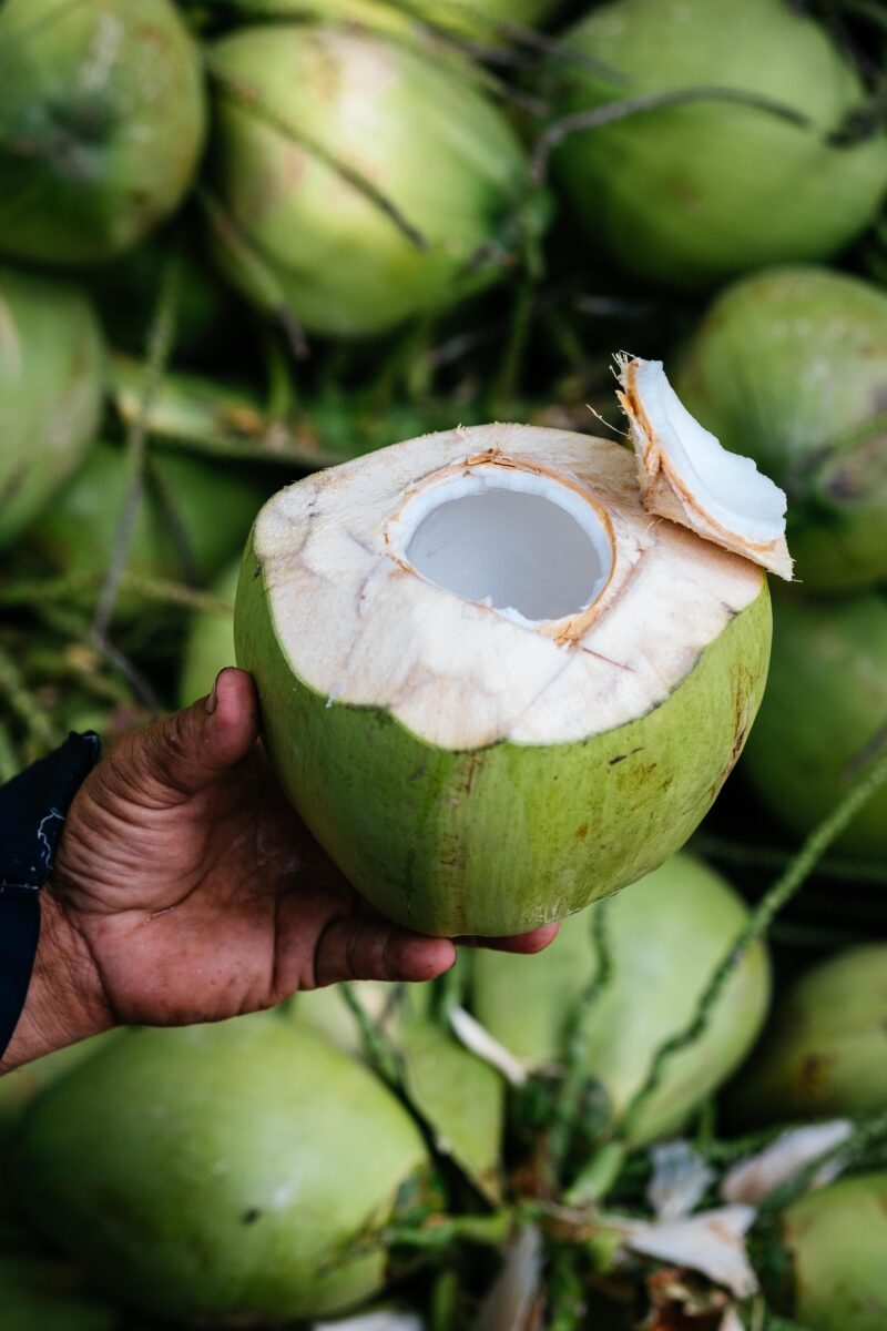Close up shot of a coconut in someone's hand.